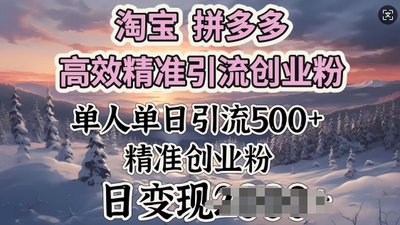 淘宝拼多多高效精准引流创业粉，单人单日引流500+创业粉，日变现多张-迅核云博客