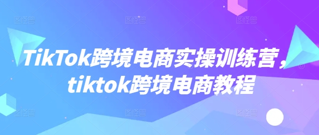 TikTok跨境电商实操训练营，tiktok跨境电商教程-迅核云博客