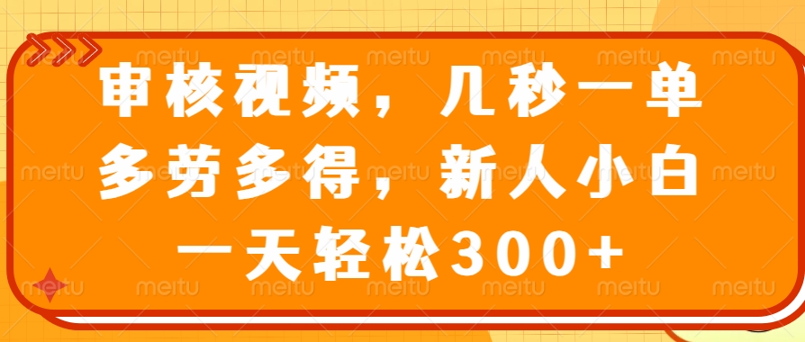 （14294期）审核视频，几秒一单，多劳多得，新人小白一天轻松300+-迅核云博客