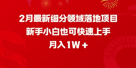 2月最新细分领域落地项目，新手小白也可快速上手，月入1W-迅核云博客