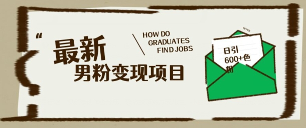 最新男粉变现项目，日引100+S粉，流量爆炸，小白轻松上手-迅核云博客